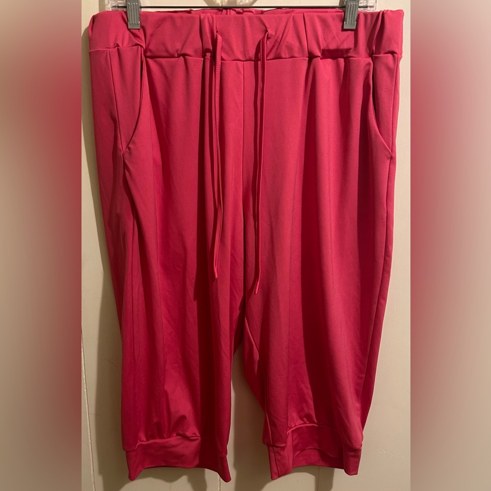 Pink Polyester Capris 1X